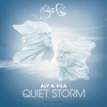 Portada de Quiet Storm