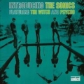 Portada de Introducing the Sonics