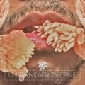 Portada de Underneath the Pine