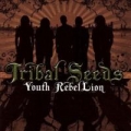 Disco de la canción Youth Rebellion