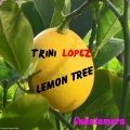 Portada de Lemon Tree