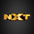 Portada de WWE NXT Superstar Themes