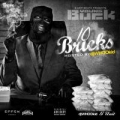 Portada de 10 Bricks