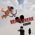 Portada de Heart Break Kodak (HBK)