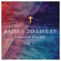 Portada de Raised to Life - EP