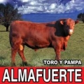 Disco de la canción Toro y Pampa