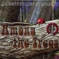 Portada de Among The Trees