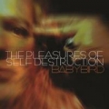 Portada de The Pleasures of Self Destruction