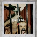 Portada de Black Dogs