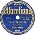 Portada de Shake 'Em On Down