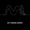 Portada de Do I Wanna Know? [Single]