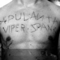 Portada de Viper Spank