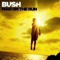 Portada de Man On the Run