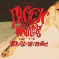 Portada de The Rise and Fall of... Butch Walker and the Let's-Go-Out-Tonites