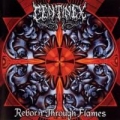 Portada de Reborn Through Flames