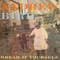 Portada de Break It Yourself