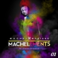 Portada de Machelements (Volume 1)