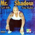 Portada de Can't Hide From the Shadow