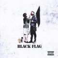 Portada de Black Flag