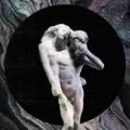 Portada de Reflektor (Deluxe Edition Tracks)