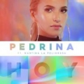 Disco de la canción Hoy (ft. Martina La Peligrosa)