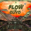 Portada de Flow de Cuyo