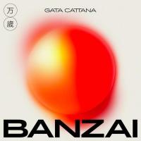 Limonero Banzai de Gata Cattana