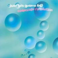 Canción 'Viviré' del disco 'Colección Romántica' interpretada por Juan Luis Guerra Canción 'Viviré' del disco 'Colección Romántica' interpretada por Juan Luis Guerra