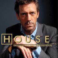 We are the world House M.D. Original Television Soundtrack de Various Artists