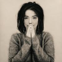 THERES MORE TO LIFE THAN THIS, letra y canción de Björk. Disco: Debut THERES MORE TO LIFE THAN THIS letra BJÖRK