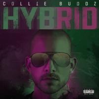 TIME FLIES, letra y canción de Collie Buddz. Disco: Hybrid TIME FLIES letra COLLIE BUDDZ