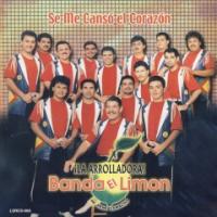 Así Te Quiero Yo Se Me Cansó El Corazón de La Arrolladora Banda El Limón