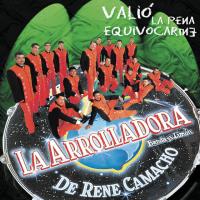 Enamorado Valió La Pena Equivocarme de La Arrolladora Banda El Limón