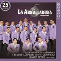 'Te quiero a ti' de La Arrolladora Banda El Limón. Disco: Íconos 25 Éxitos Te quiero a ti - La Arrolladora Banda El Limón