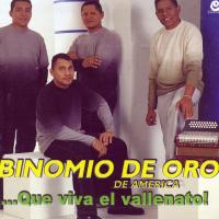 'Si tu amor no vuelve' de Binomio De Oro. Disco: …Que viva el vallenato! Si tu amor no vuelve - Binomio De Oro