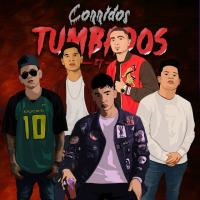 'Un Suspiró Al Viento' de Natanael Cano. Disco: Corridos Tumbados Un Suspiró Al Viento - Natanael Cano