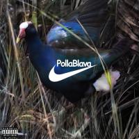 INTRO POLLA BLAVA, letra y canción de Cecilio G. Disco: Polla Blava INTRO POLLA BLAVA letra CECILIO G