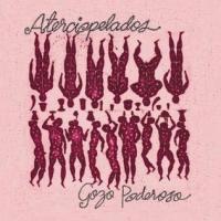 'Rompecabezas' de Aterciopelados. Disco: Gozo poderoso Rompecabezas - Aterciopelados