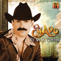 Te doy 8 días Te Va a Gustar de El Chapo de Sinaloa