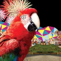 'Buenos Matrimonios Ahí Afuera' de El Guincho. Disco: Alegranza Buenos Matrimonios Ahí Afuera - El Guincho