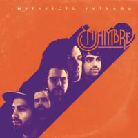 Vida En El Espejo Imperfecto Extraño de Enjambre