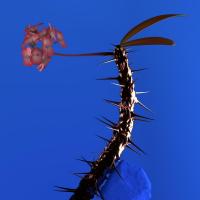 FANTASTIC, letra y canción de Flume. Disco: Skin Companion II - EP FANTASTIC letra FLUME