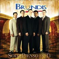 Cenizas Solo Pienso en Ti de Grupo Bryndis