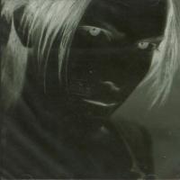 Canción 'Fruits of chaos' del disco '666' interpretada por Hyde Canción 'Fruits of chaos' del disco '666' interpretada por Hyde