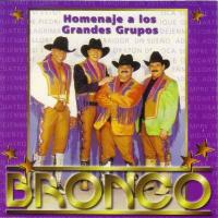 Canción 'Naila' del disco 'Homenaje a los grandes grupos' interpretada por Bronco Canción 'Naila' del disco 'Homenaje a los grandes grupos' interpretada por Bronco