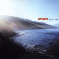 Blood On The Ground Morning View de Incubus