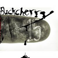 Sorry 15 de Buckcherry