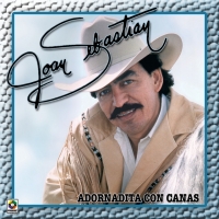Que bien te ves enamorada Adornadita con canas de Joan Sebastian