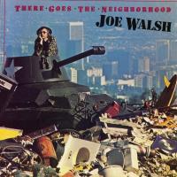 'A Life Of Illusion' de Joe Walsh. Disco: There Goes the Neighborhood A Life Of Illusion - Joe Walsh