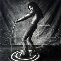 Canción 'Beyond The 7th Sky' del disco 'Circus' interpretada por Lenny Kravitz Canción 'Beyond The 7th Sky' del disco 'Circus' interpretada por Lenny Kravitz